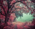 /album/fenykepgaleria/large-9-jpg/
